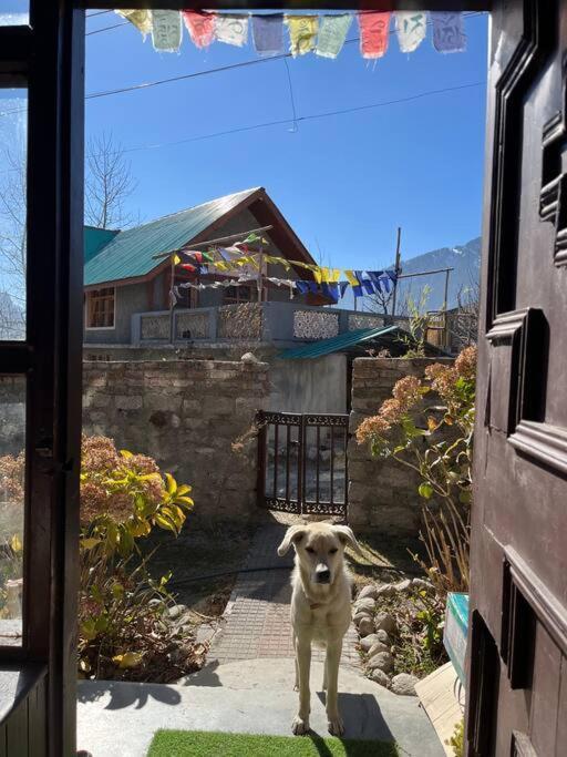 Gharsa - Your Mountain Home Manali  Exterior photo